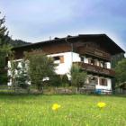 Apartamento De Vacaciones Hopfgarten Tirol: Penningdörfl 