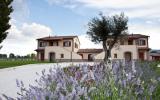 Apartamento De Vacaciones Umbria: Assisi It5543.50.2 