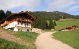 Casa De Vacaciones Hopfgarten Tirol: Chalet Innersalvenberg ...