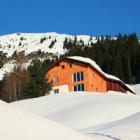 Apartamento De Vacaciones Vorarlberg: Sonnenschein 