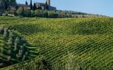 Casa De Vacaciones San Gimignano: Olivo It5257.960.1 
