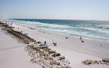 Apartamento De Vacaciones Destin Florida: Pelican Beach Resort 00501 ...