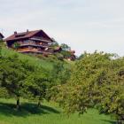 Apartamento De Vacaciones Bern: Apartamento Krattigen 
