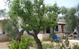 Casa De Vacaciones Vieste Puglia: Tesori Del Sud Bilocale (It-71019-02) 
