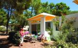 Casa De Vacaciones Corse: Club Pineto (Fr-20290-03) 