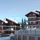 Apartamento Nendaz Pets Allowed: Apartamento Domino 
