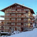 Apartamento Nendaz: Apartamento Ambassador Ii 