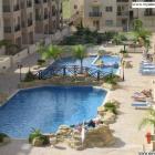 Apartamento Chipre Pets Allowed: Apartamento Royal Seacrest Complex 