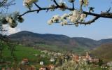 Apartamento Francia: Fr5419.1.1 