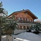 Casa De Vacaciones Nendaz: Casa De Vacaciones Clair Val 
