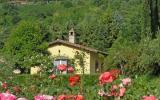 Apartamento Umbria: It5515.750.1 