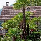 Apartamento Ronco Sopra Ascona Sauna: Apartamento Casa Regina 