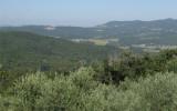 Casa De Vacaciones Bucine Toscana Swimming Pool: It5238.41.1 