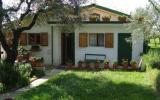 Casa De Vacaciones Toscana Swimming Pool: It5205.164.1 