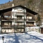 Apartamento Saas Grund Pets Allowed: Apartamento Rusticana 