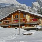 Apartamento Ovronnaz: Apartamento Les Muriers 