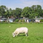 Casa De Vacaciones Holanda: Casa De Vacaciones Vakantiedorp Het Grootslag 