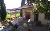 Apartamento Campania Swimming Pool: It6160.3.1 