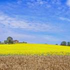 Apartamento Umbria Pets Allowed: Apartamento 
