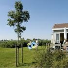 Casa De Vacaciones Offingawier Sauna: Casa De Vacaciones Rcn De Potten 