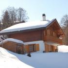 Casa De Vacaciones Nendaz: Casa De Vacaciones Des Ours 