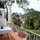 Apartamento Campania Pets Allowed: Apartamento 
