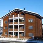 Apartamento Nendaz Pets Allowed: Apartamento Les Vignes 