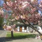 Casa De Vacaciones Rheinland Pfalz: Casa De Vacaciones Schmitt 