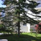Apartamento Royan Poitou Charentes Pets Allowed: Apartamento Moulin Des ...
