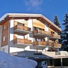 Apartamento Ovronnaz: Apartamento Le Coudrier 