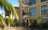 Apartamento Icod De Los Vinos Swimming Pool: Es6153.100.2 