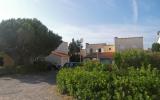 Casa De Vacaciones Saint Cyprien Plage Sauna: Fr6665.200.3 