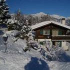 Apartamento Nendaz: Apartamento Chalet Marie-Louise 