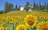 Casa De Vacaciones Sansepolcro: It5234.800.2 