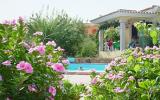 Apartamento San Teodoro Sardegna: Detalles Principales Unit_76261 2 ...