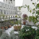 Apartamento City Of London: Alquiler De Apartamento En City Of London ...