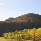 Apartamento Alsacia: Alquiler De Apartamento En Ribeauville Apartamento ...