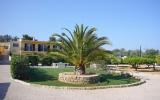 Apartamento Almancil: Detalles Principales Casa Cimo 3 Habitaciones, ...