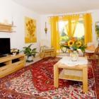 Apartamento Baden Wurttemberg: Alquiler De Apartamento En ...