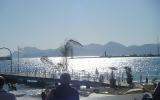 Apartamento Cannes Provence Alpes Cote D'azur: Alquiler De Apartamento ...