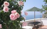 Apartamento Campania: Detalles Principales Bougainvillea 1 ...
