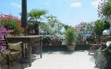 Apartamento Marche: Detalles Principales La Torre Terrace 2 Habitaciones, ...