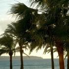 Apartamento Islas Baleares: Alquiler De Apartamento En Las Maravillas Piso ...