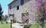 Apartamento Toscana: Detalles Principales Montalto I 1 Habitación, ...