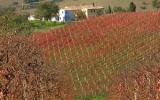 Apartamento Marche: Detalles Principales Apartment 7: Donderè 2 ...