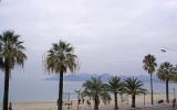 Apartamento Cannes Provence Alpes Cote D'azur: 2 Habitaciones, ...