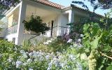 Apartamento Orebic: Alquiler De Apartamento En Orebic Alquiler De ...