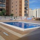 Apartamento Benidorm: Alquiler De Apartamento En Benidorm Area Apartamento ...