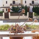 Apartamento España: Alquiler De Apartamento En Zahara De Los Atunes ...