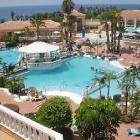 Apartamento El Guincho: Alquiler De Apartamento En Playa De Las Américas ...